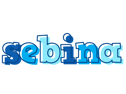 Sebina sailor logo