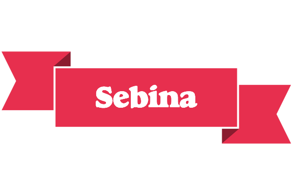 Sebina sale logo