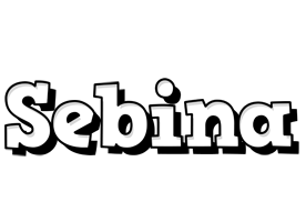 Sebina snowing logo