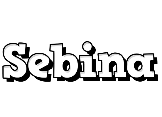 Sebina snowing logo