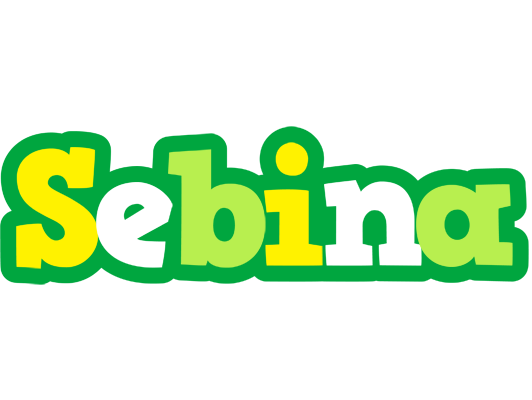 Sebina soccer logo