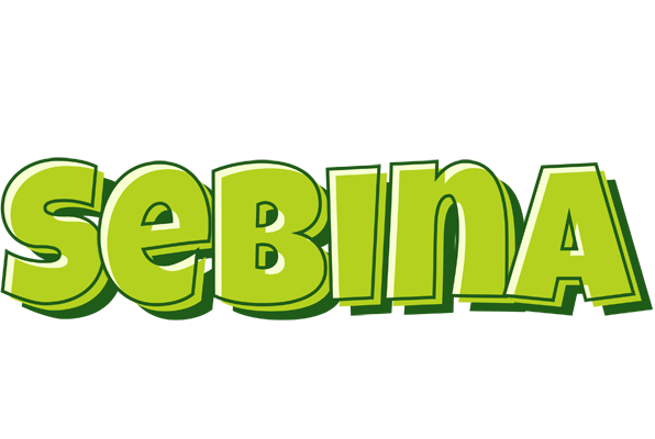 Sebina summer logo
