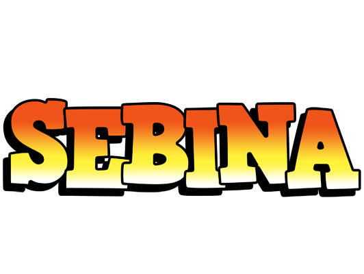 Sebina sunset logo