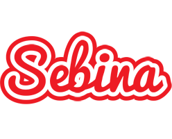 Sebina sunshine logo