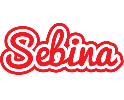 Sebina sunshine logo