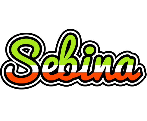 Sebina superfun logo