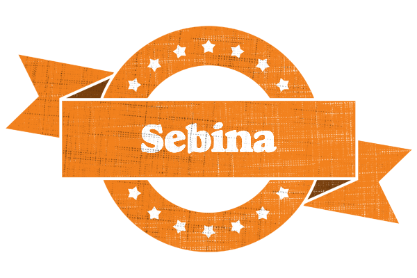 Sebina victory logo