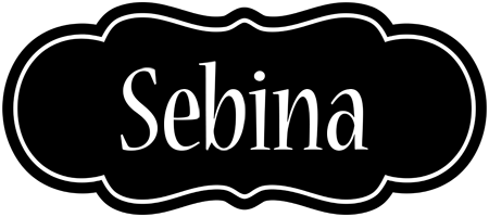 Sebina welcome logo