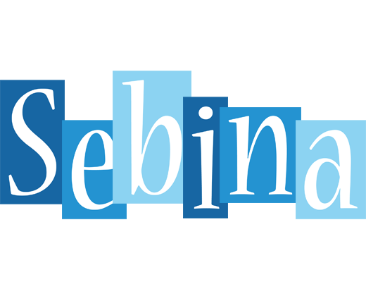 Sebina winter logo