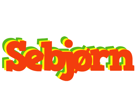 Sebjørn bbq logo