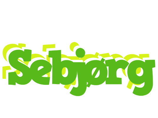 Sebjørg picnic logo