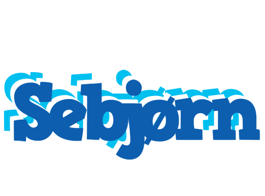 Sebjørn business logo