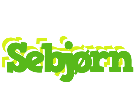 Sebjørn picnic logo