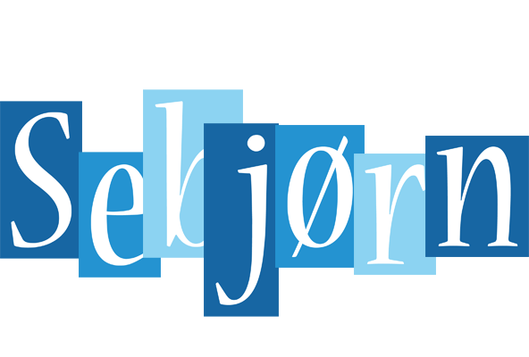 Sebjørn winter logo