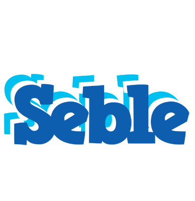 Seble business logo