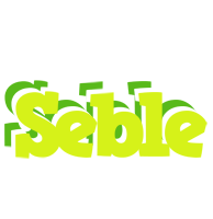 Seble citrus logo