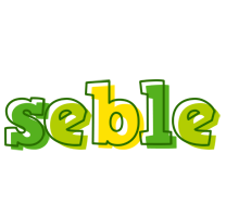 Seble juice logo