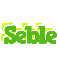 Seble picnic logo