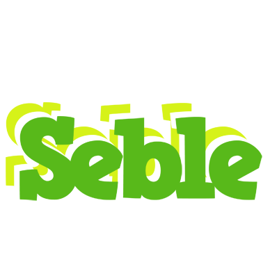 Seble picnic logo