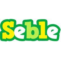 Seble soccer logo