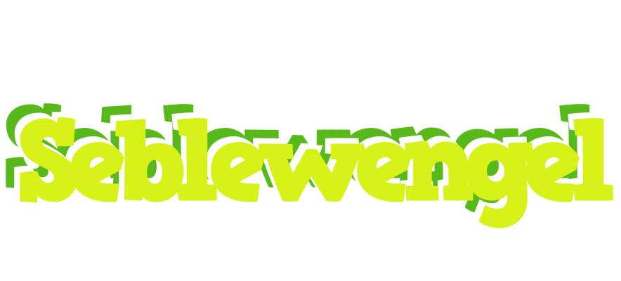 Seblewengel citrus logo