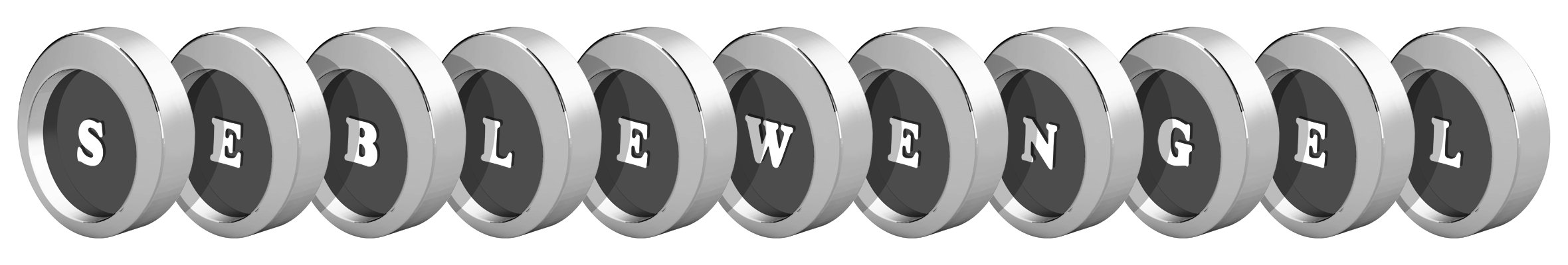 Seblewengel coins logo