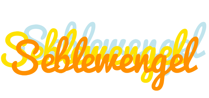 Seblewengel energy logo