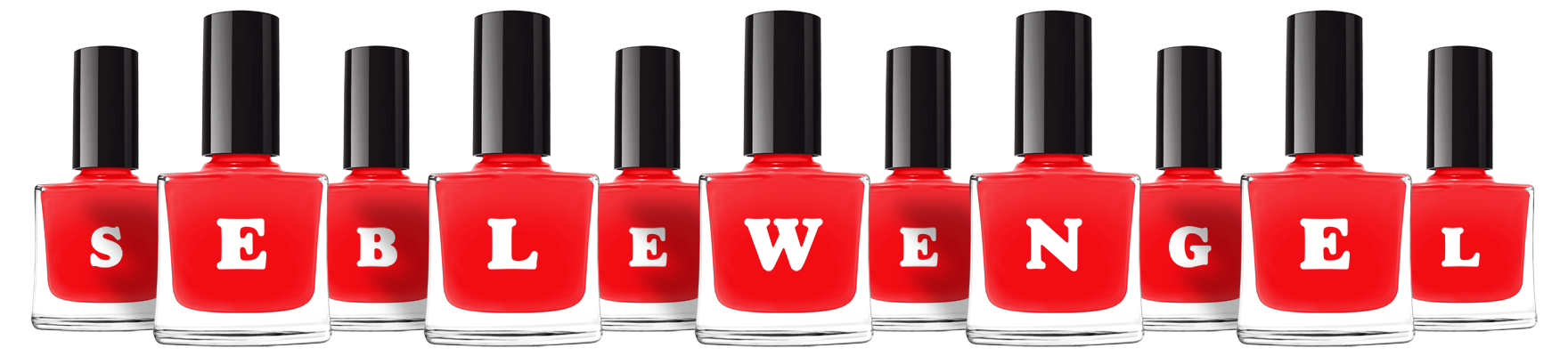 Seblewengel fashion logo