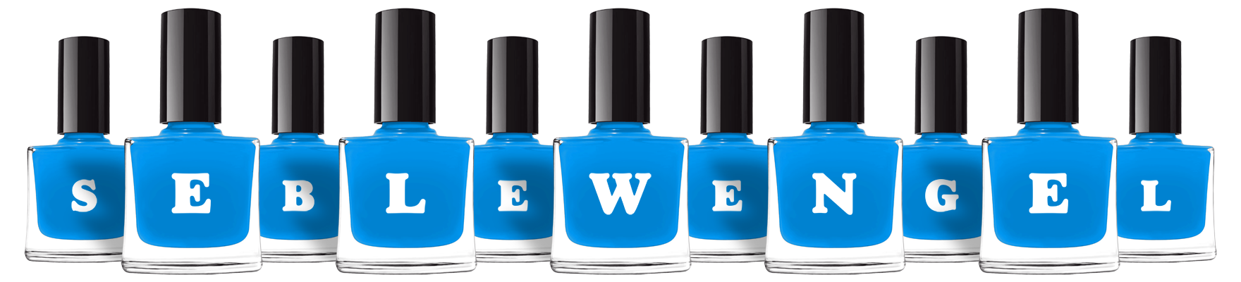 Seblewengel glossy logo