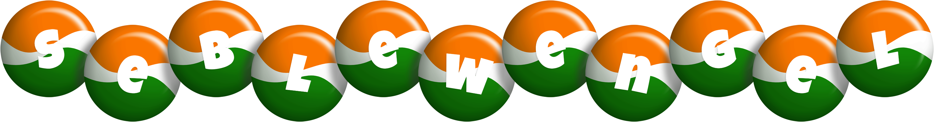 Seblewengel india logo