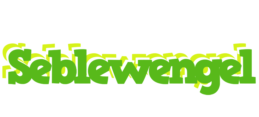 Seblewengel picnic logo