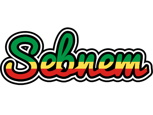 Sebnem african logo