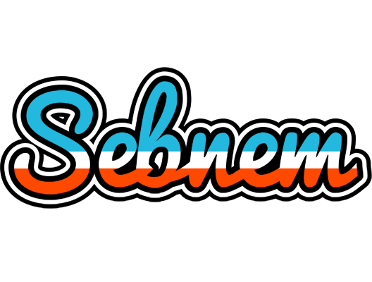 Sebnem america logo