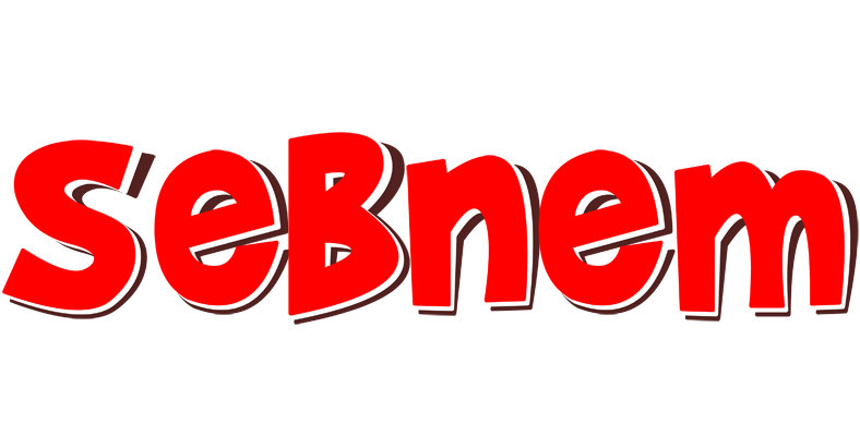 Sebnem basket logo
