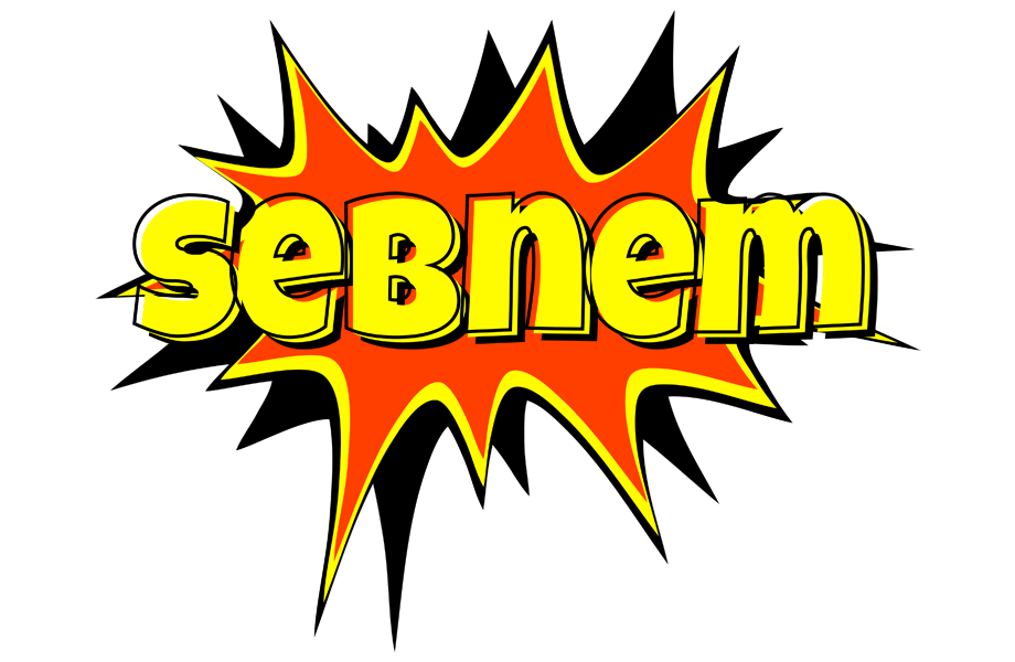 Sebnem bazinga logo