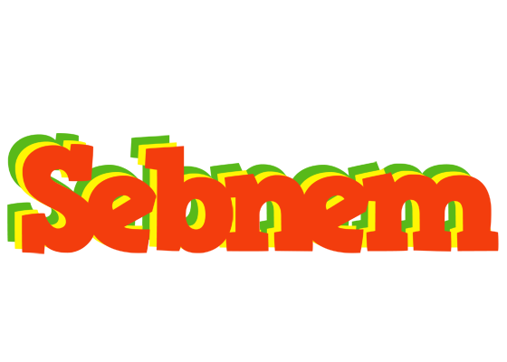 Sebnem bbq logo