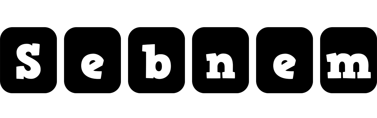 Sebnem box logo