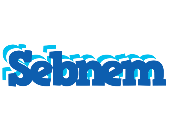 Sebnem business logo