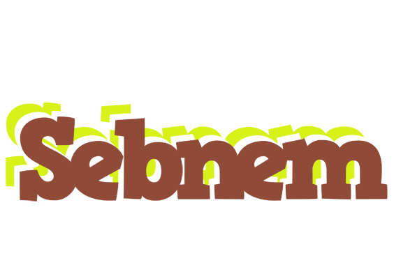 Sebnem caffeebar logo