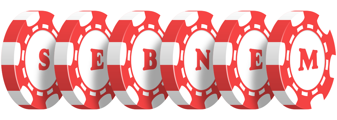 Sebnem chip logo