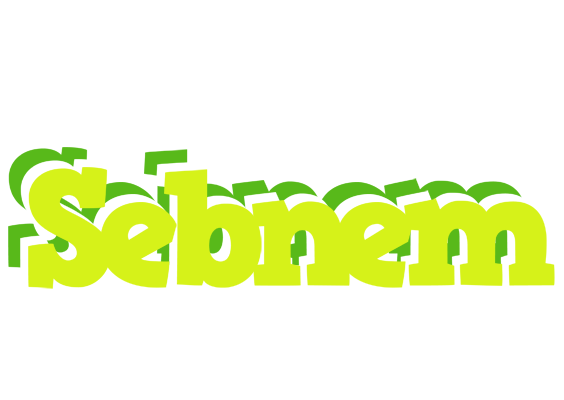 Sebnem citrus logo