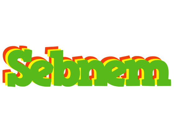 Sebnem crocodile logo