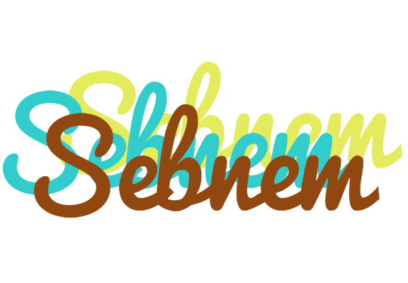 Sebnem cupcake logo
