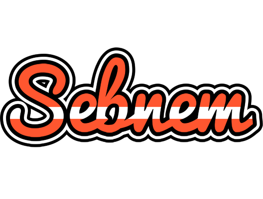 Sebnem denmark logo