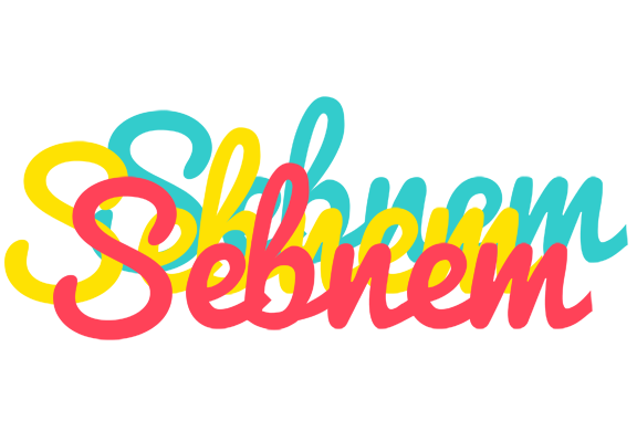 Sebnem disco logo