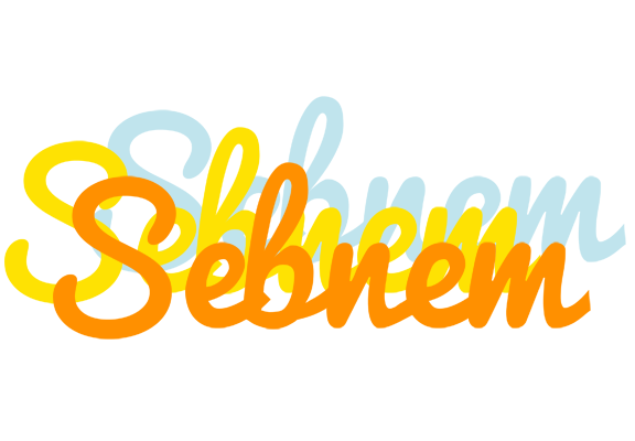 Sebnem energy logo