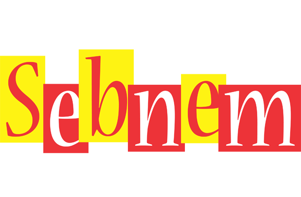 Sebnem errors logo
