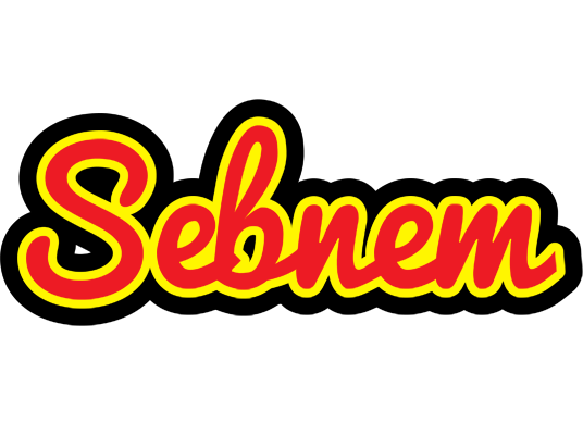 Sebnem fireman logo