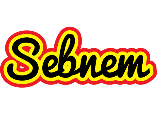 Sebnem flaming logo