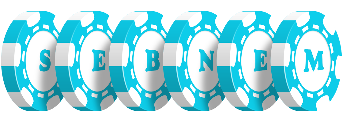 Sebnem funbet logo
